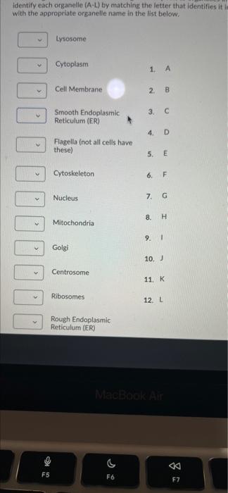 Solved В B A E L F K G H in the diagram shown letters are | Chegg.com