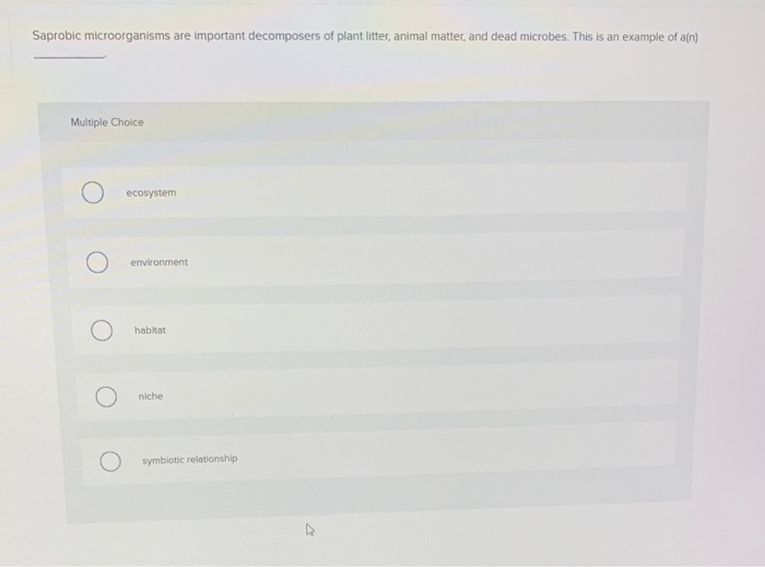Solved Saprobic microorganisms are important decomposers of | Chegg.com