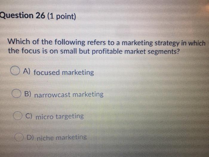 What is a Marketing Strategy in Which the Focus is on Small But Profitable Market Segments?  