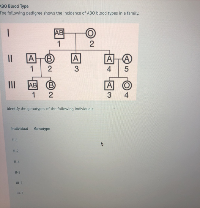 Solved ABO Blood Type The Following Pedigree Shows The | Chegg.com