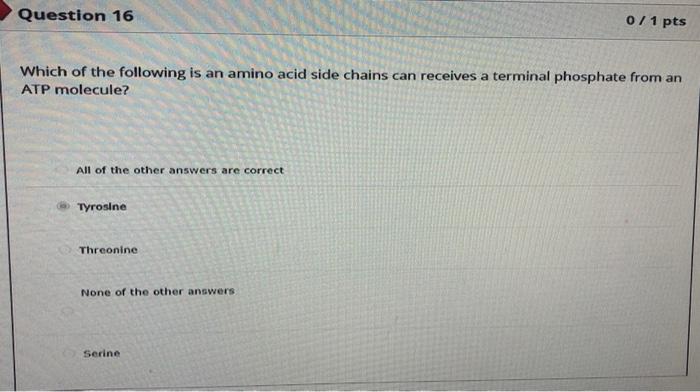 Solved Which of the following is an amino acid side chains | Chegg.com