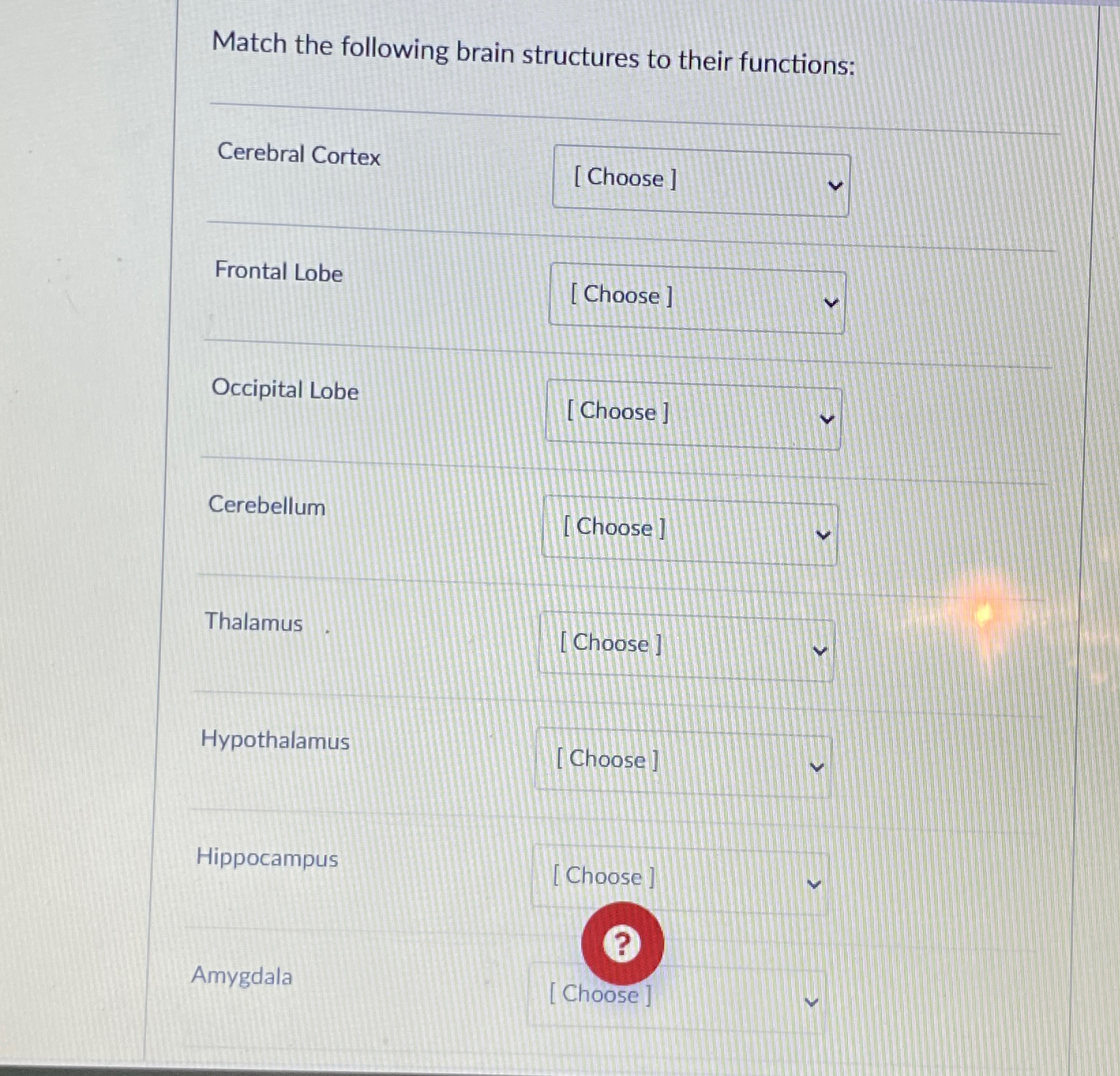 Solved Match the following brain structures to their | Chegg.com