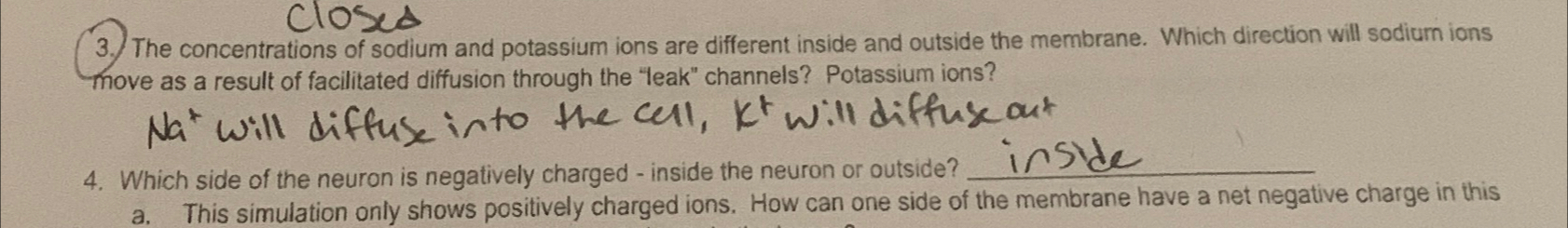 Solved The concentrations of sodium and potassium ions are | Chegg.com