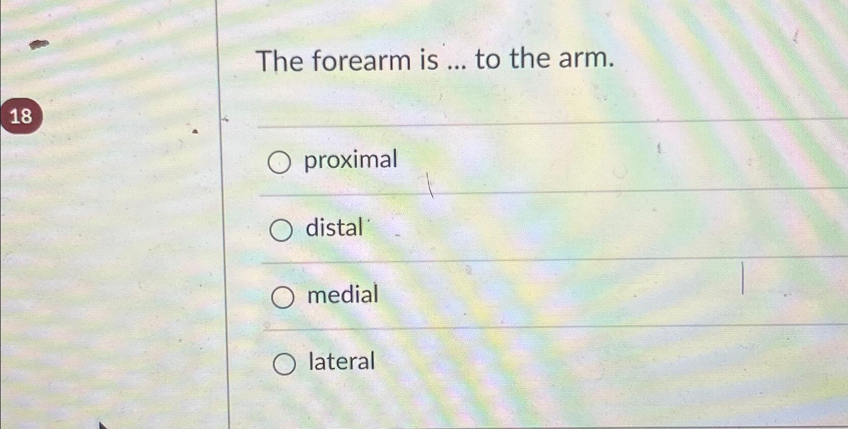 Solved The forearm is ... ﻿to the | Chegg.com