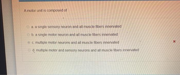 Solved A motor unit is composed of a a single sensory neuron | Chegg.com