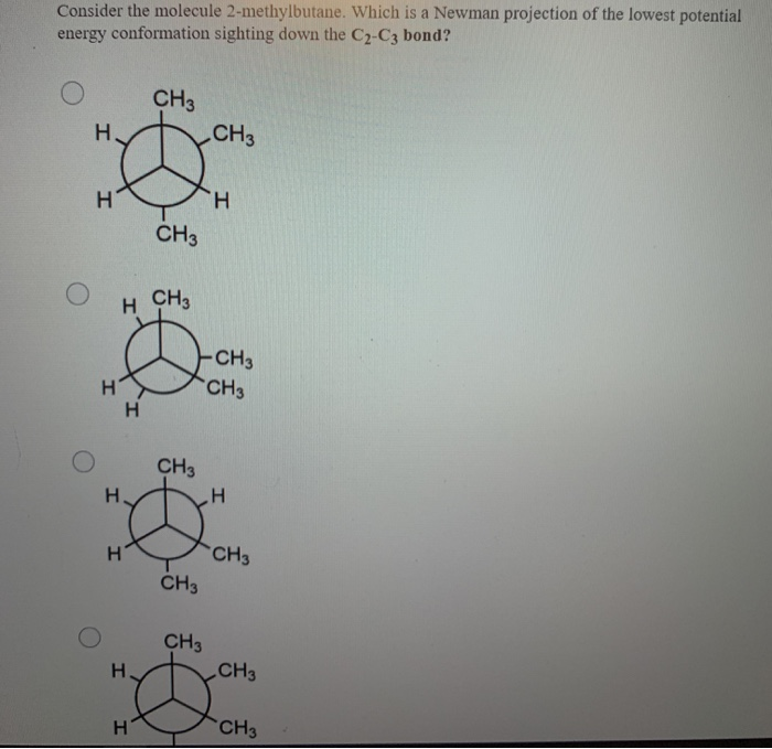 Solved Consider the molecule 2-methylbutane. Which is a | Chegg.com