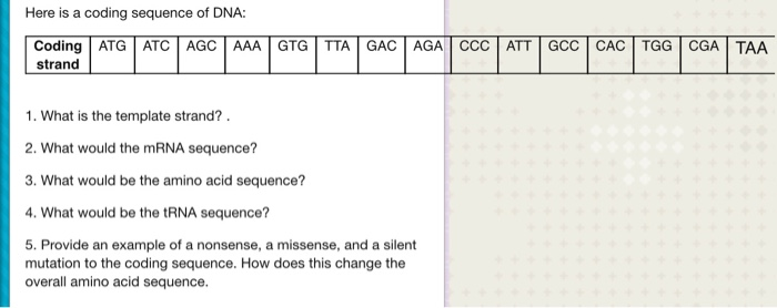 Solved Here is a coding sequence of DNA: Coding ATG ATC AGC | Chegg.com