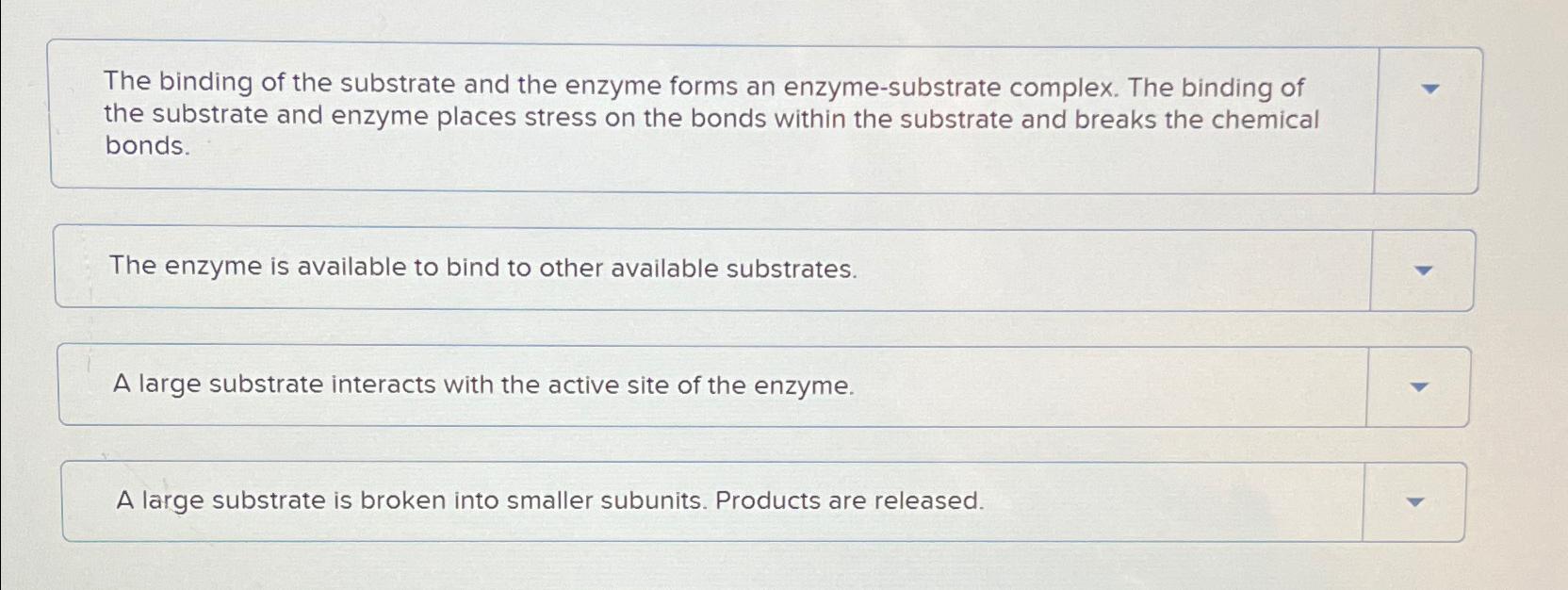 substrate binding site of an enzyme is called