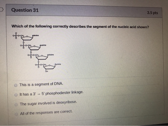 solved-question-31-3-5-pts-which-of-the-following-correctly-chegg