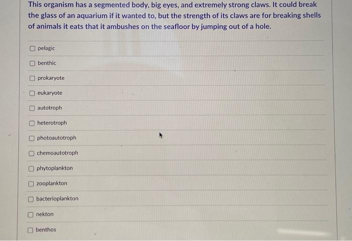 Solved This organism has a segmented body, big eyes, and | Chegg.com