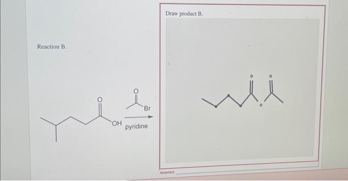 Solved Draw product B. Reaction B. incarrect | Chegg.com