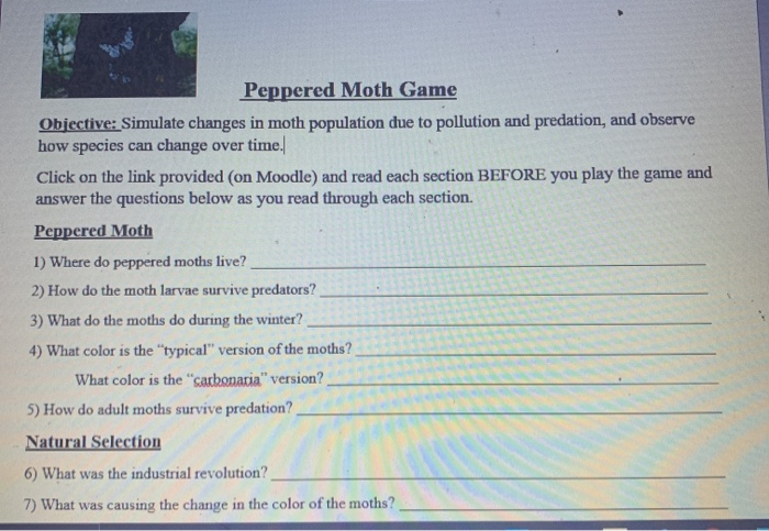 Solved Peppered Moth Game Objective: Simulate changes in | Chegg.com