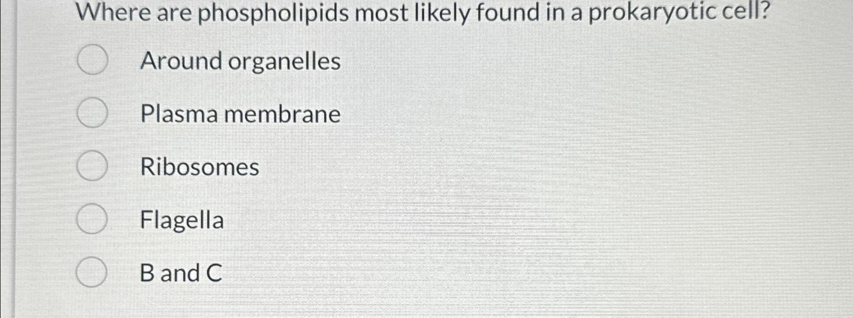 Solved Where are phospholipids most likely found in a