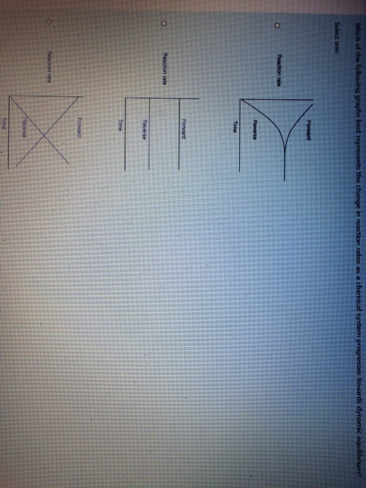 Solved Which of the following graphs best represents the | Chegg.com