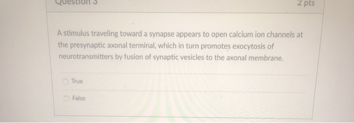 Nerve Impulse Transmission Across Synapse Online Biology Notes