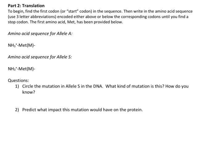 Solved Part 2: Translation To begin, find the first codon | Chegg.com