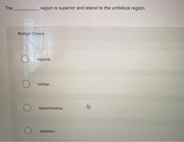 solved-the-region-is-superior-and-lateral-to-the-umbilical-chegg