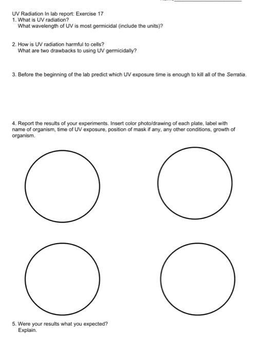Solved UV Radiation In lab report: Exercise 17 1. What is UV | Chegg.com