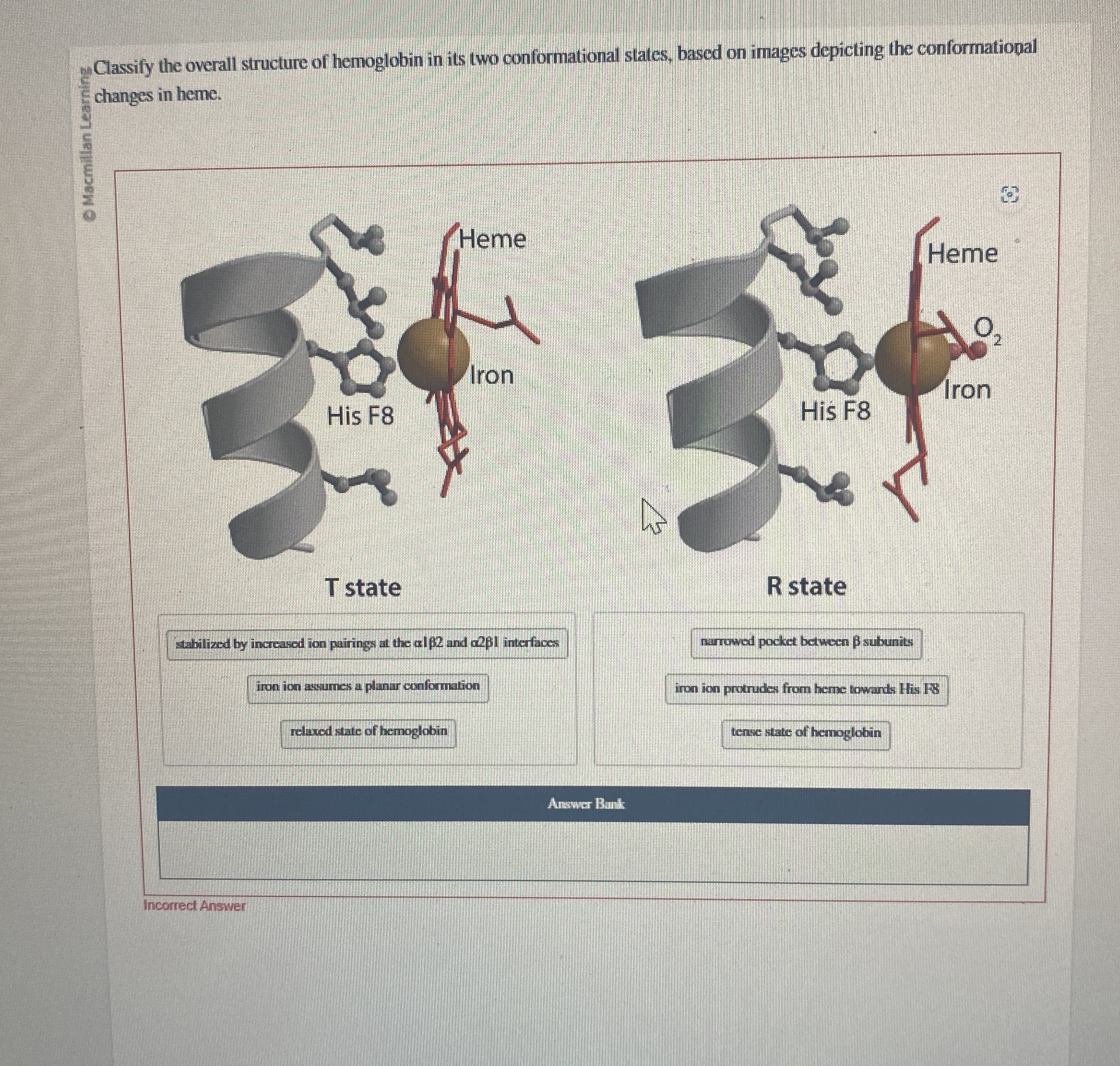 Solved ?22 ﻿Classify the overall structure of hemoglobin in | Chegg.com
