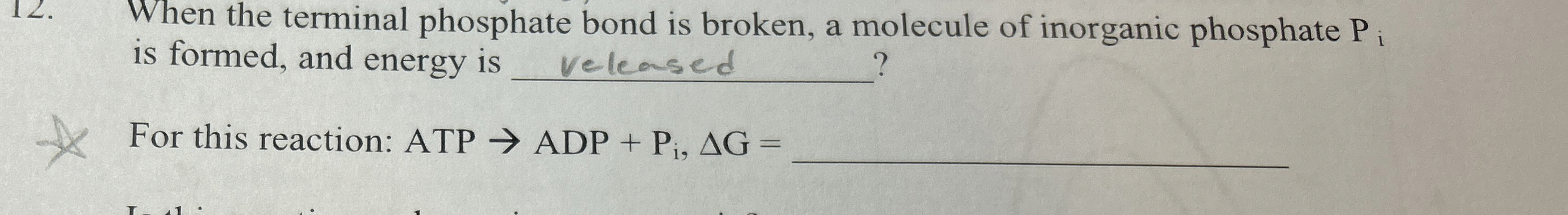 Solved When the terminal phosphate bond is broken, a | Chegg.com