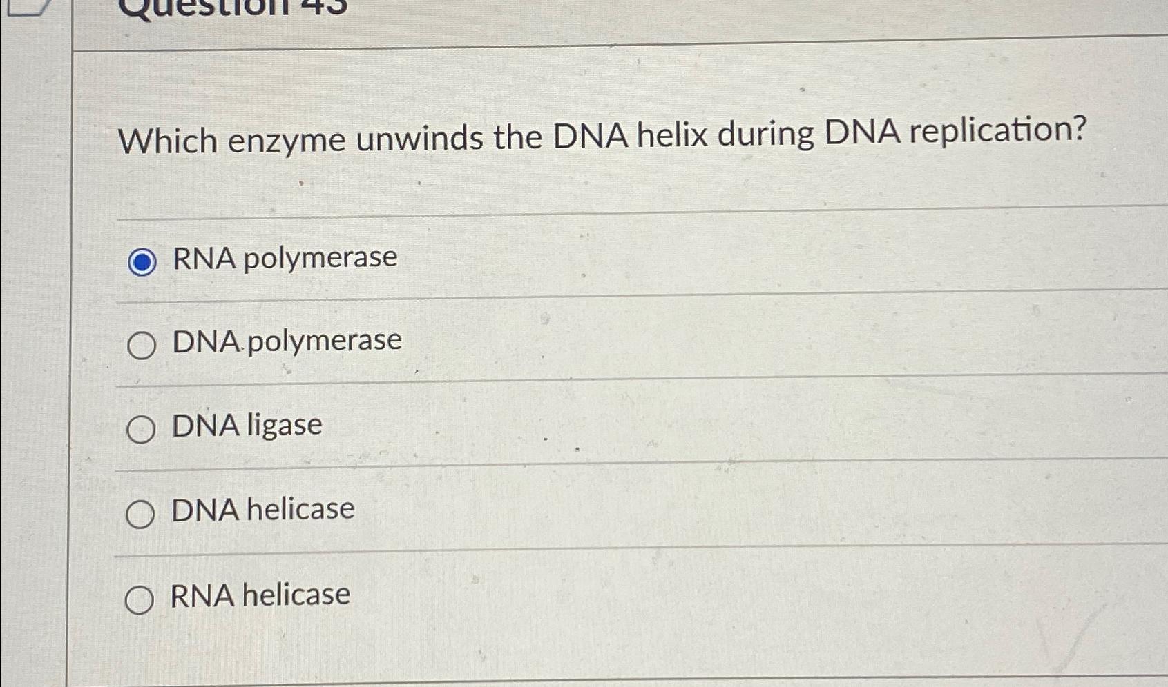 Solved Which enzyme unwinds the DNA helix during DNA