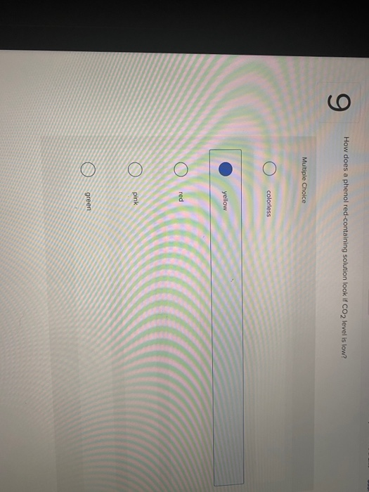 Solved How does a phenol redcontaining solution look if CO2