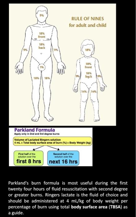 Solved Case Study 1: Management of Patients with Burn Injury | Chegg.com