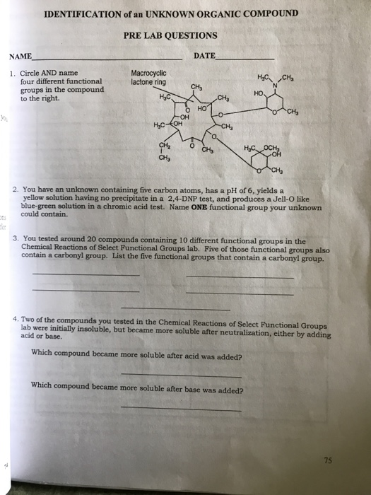 Solved IDENTIFICATION Of An UNKNOWN ORGANIC COMPOUND PRE LAB | Chegg.com