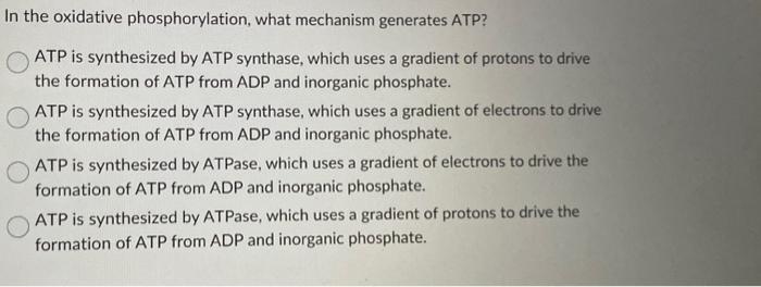 Solved Enzymes are essential biological catalysts that speed | Chegg.com
