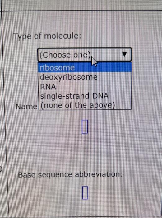 Type of molecule:
Nam
Base sequence abbreviation: