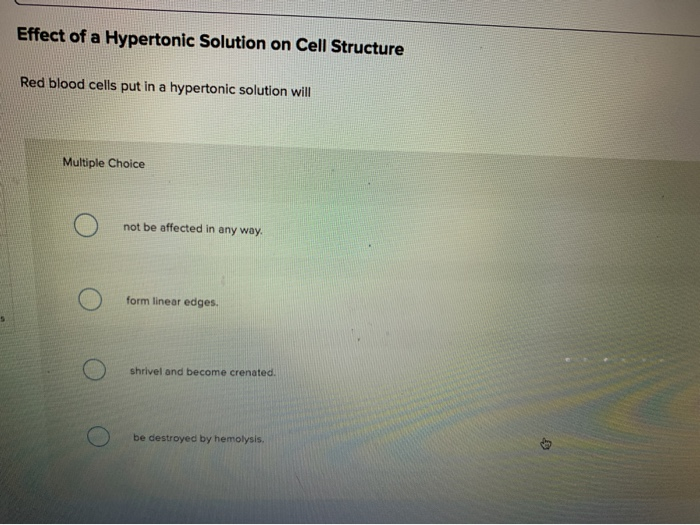 Solved Effect of a Hypertonic Solution on Cell Structure Red | Chegg.com