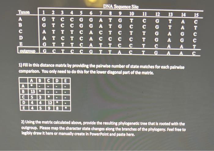 Solved 1) Fill in this distance matrix by providing the | Chegg.com