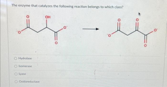Solved The enzyme that catalyzes the following reaction | Chegg.com