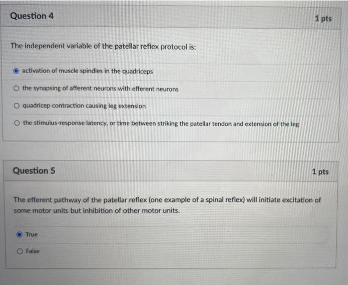 Solved The independent variable of the patellar reflex | Chegg.com