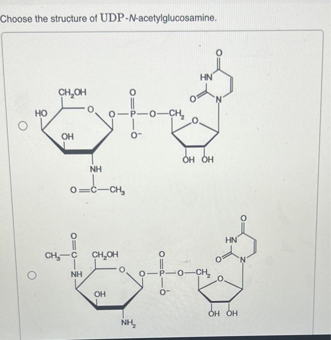 Choose the structure of UDP- \( N \)-acetylglucosamine.