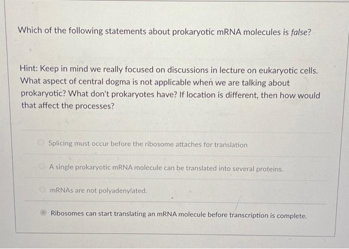 Solved Which of the following statements about prokaryotic