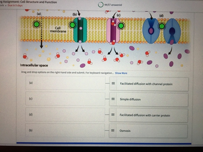 Solved ork. Due in 5 days Match each type of passive | Chegg.com