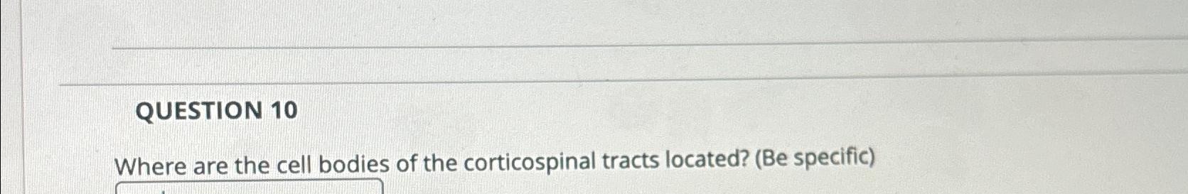 Solved QUESTION 10Where are the cell bodies of the Chegg com