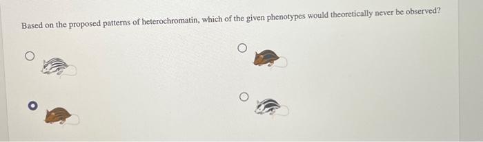 Solved Suppose there is a unique species of mouse in which | Chegg.com