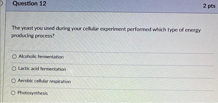 Solved For the experiment looking at the uptake of carbon | Chegg.com