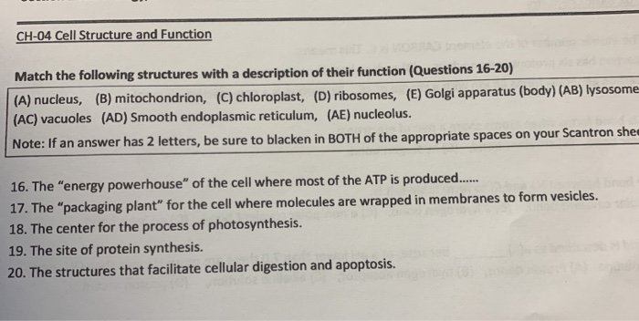 Solved CH-04 Cell Structure and Function Match the following | Chegg.com