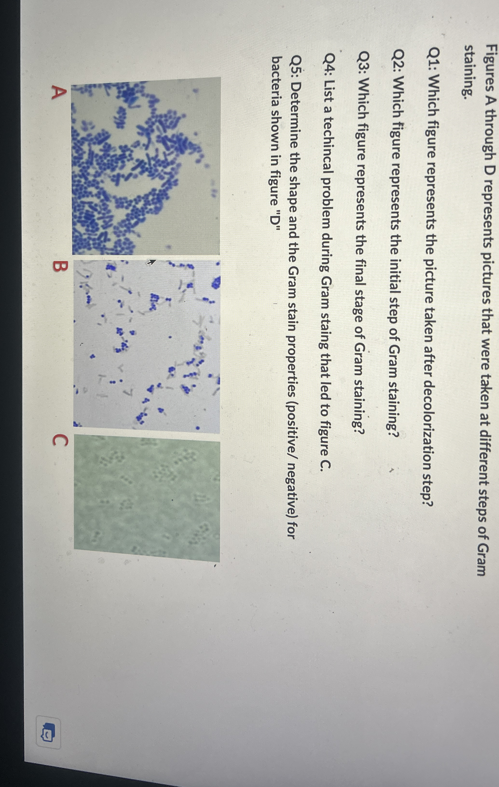 Solved Figures A through D represents pictures that were | Chegg.com