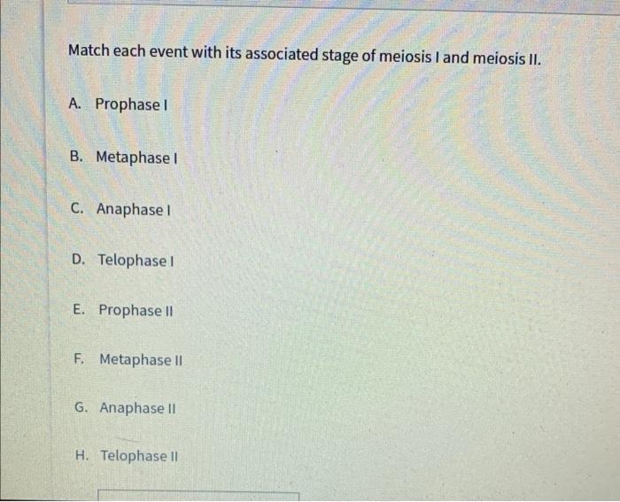 Solved Match each event with its associated stage of meiosis | Chegg.com