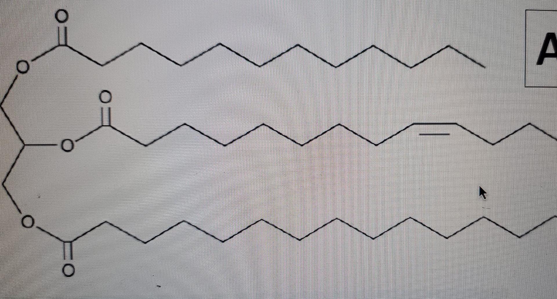 Solved For the triglyceride shown below: i Provide the | Chegg.com