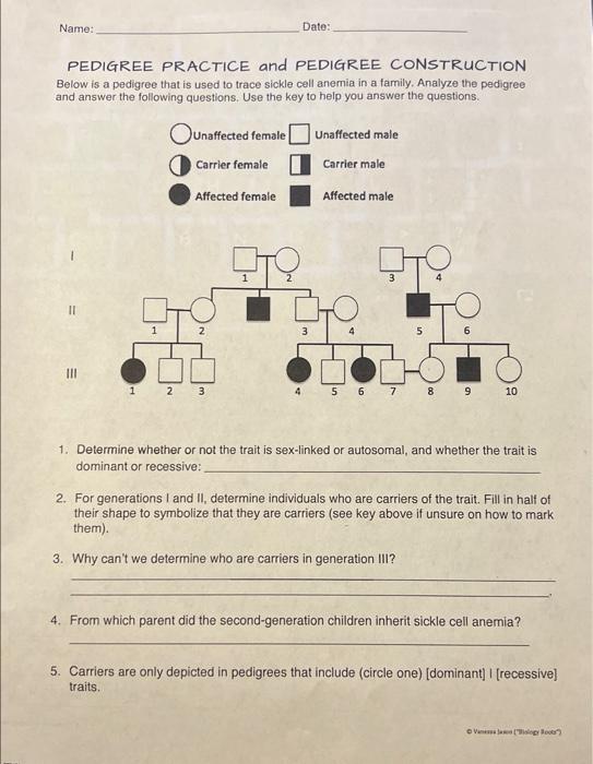 solved-pedigree-practice-and-pedigree-construction-below-is-chegg-com