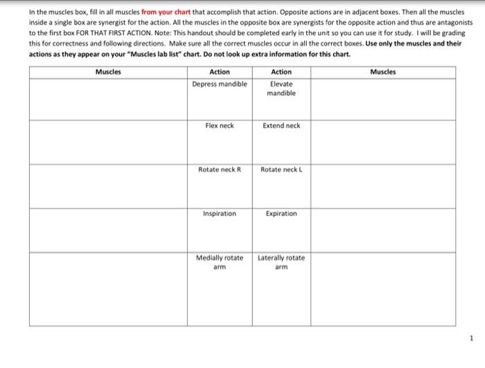 Solved In the muscles box, fill in all muscles that | Chegg.com