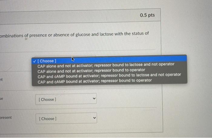 Solved D Question 3 0.5 pts Please match the four | Chegg.com