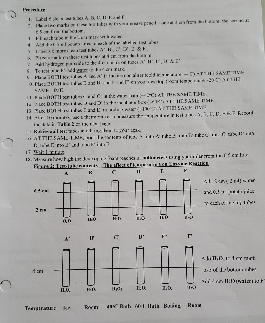 Solved Lab Activity B: The Effect of Temperature on the | Chegg.com