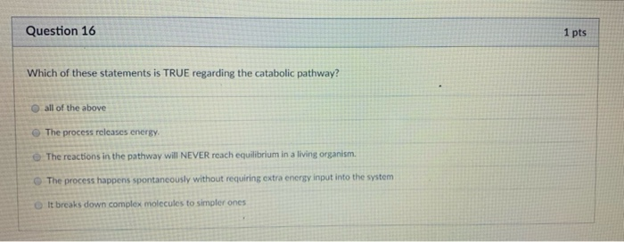 Question 16 1 Pts Which Of These Statements Is True Chegg Question 16 1 Pts Which Of These Statements Is True Chegg