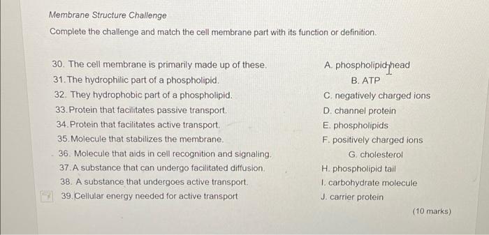 Solved Membrane Structure Challenge Complete the challenge | Chegg.com
